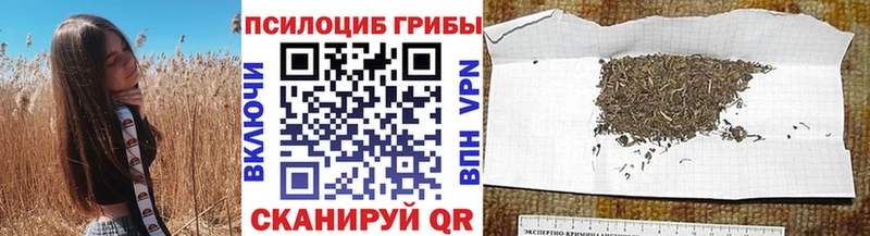 Галлюциногенные грибы мухоморы  где купить   Рыльск 